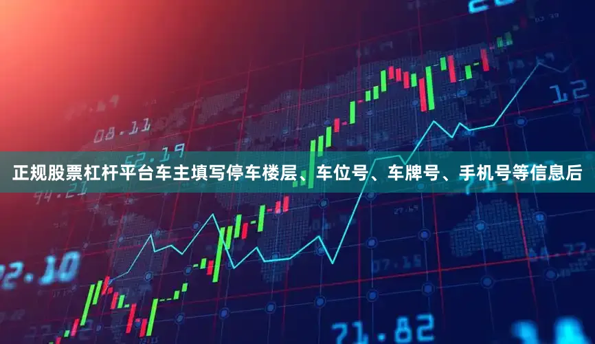 正规股票杠杆平台车主填写停车楼层、车位号、车牌号、手机号等信息后