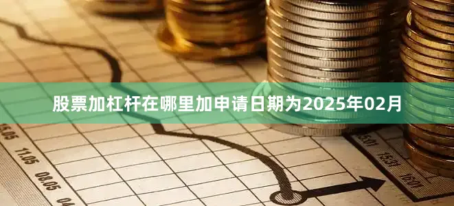 股票加杠杆在哪里加申请日期为2025年02月