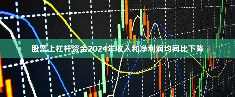 股票上杠杆资金2024年收入和净利润均同比下降